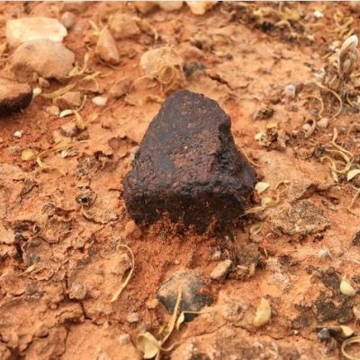 Photo: a stony meteorite from South Australia’s Nullarbor Plain, discovered this year during an annual meteorite recovery expedition led by Monash University collaborators Al Tait, Sasha Wilson and Andy Tomkins.